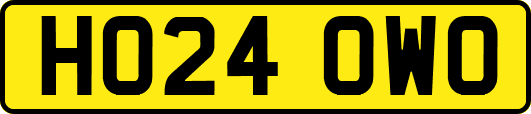 HO24OWO