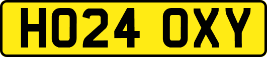 HO24OXY