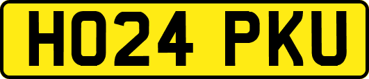 HO24PKU