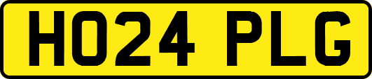 HO24PLG