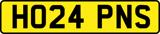 HO24PNS