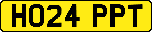 HO24PPT