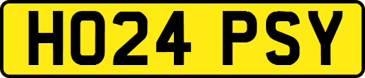 HO24PSY