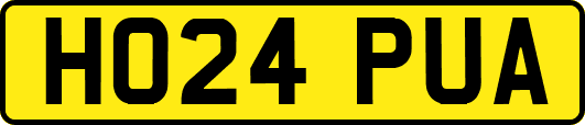 HO24PUA