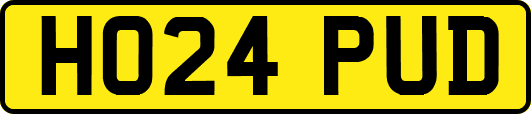 HO24PUD