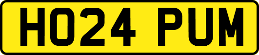 HO24PUM