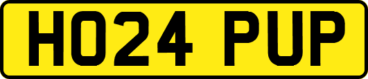 HO24PUP