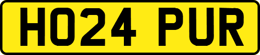 HO24PUR