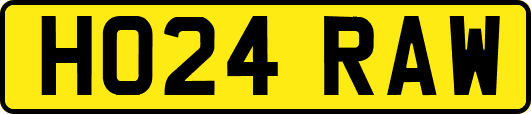 HO24RAW