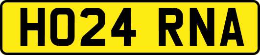 HO24RNA