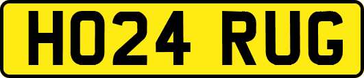 HO24RUG