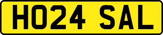 HO24SAL