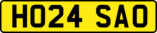 HO24SAO