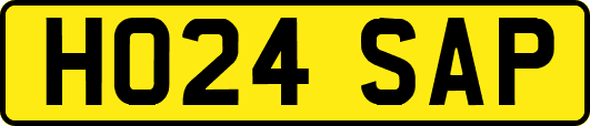 HO24SAP