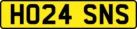 HO24SNS