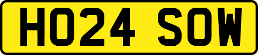 HO24SOW
