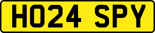HO24SPY