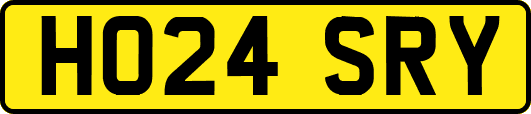 HO24SRY