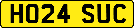 HO24SUC