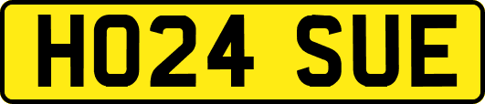 HO24SUE