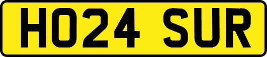 HO24SUR