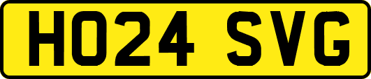 HO24SVG