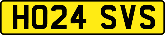 HO24SVS