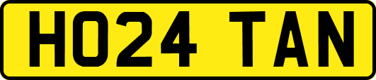 HO24TAN