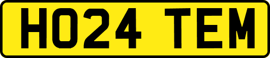 HO24TEM