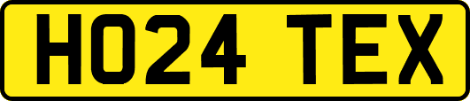 HO24TEX
