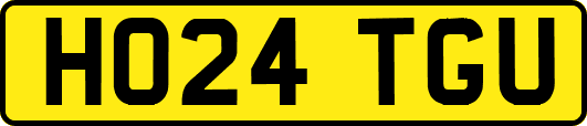 HO24TGU