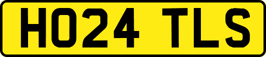 HO24TLS