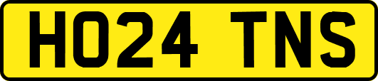 HO24TNS