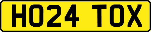 HO24TOX