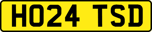 HO24TSD