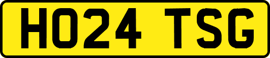 HO24TSG
