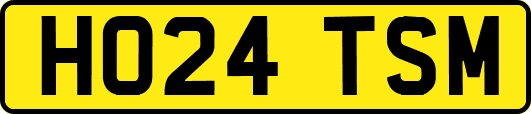 HO24TSM