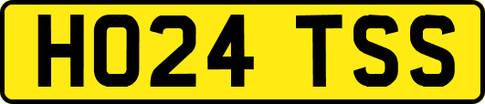 HO24TSS