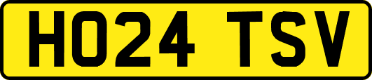 HO24TSV