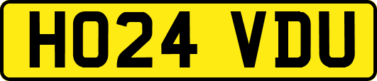 HO24VDU