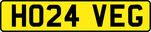 HO24VEG