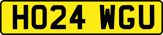HO24WGU