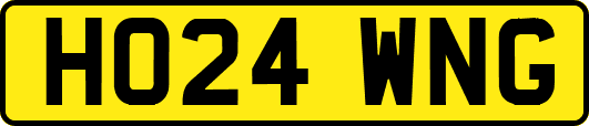 HO24WNG