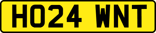 HO24WNT