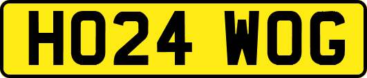 HO24WOG