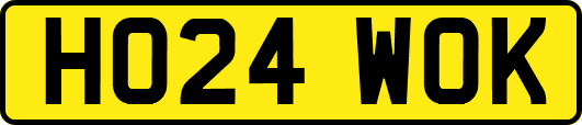 HO24WOK