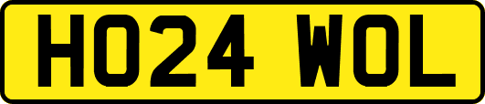 HO24WOL