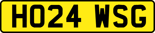 HO24WSG