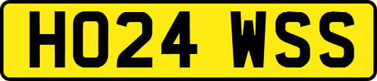 HO24WSS