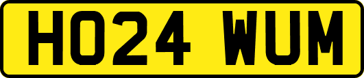HO24WUM